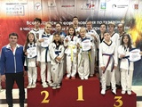 Семь медалей завоевали ивановцы на Всероссийских соревнованиях по тхэквондо «Битва в Подмосковье»