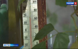 -5°С и туман ожидаются в ближайшие 3 дня в Ивановской области