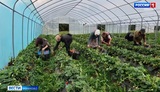6-й поток «Школы фермера» стартовал в Ивановской области