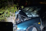 При столкновении легковушки с деревом в Ивановской области пострадали 4 человека