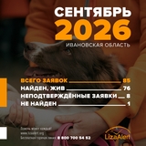 За сентябрь в Ивановской области «ЛизаАлерт» приняли 85 заявок на поиск