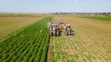 Аграрии Ивановской области завершают уборочную кампанию