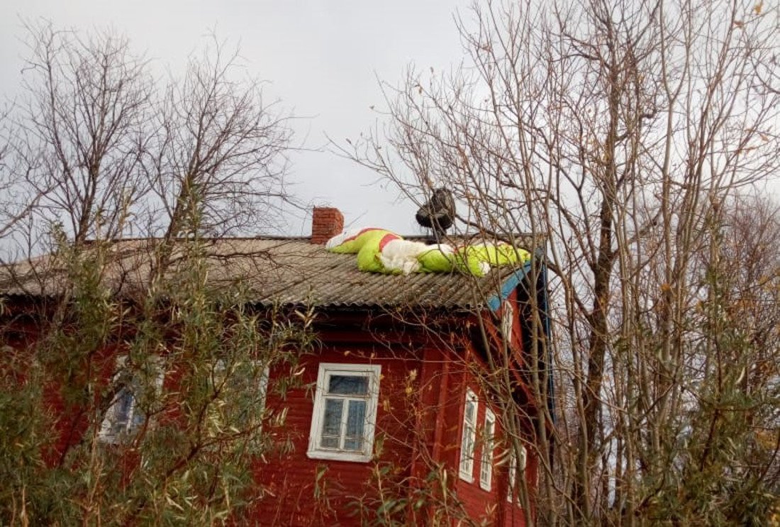 Жёсткая посадка: парапланерист из Вытегры попал в экстремальную ситуацию