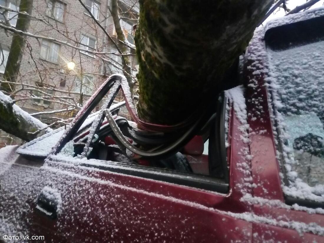 Последствия непогоды: в Вологде и Череповце подсчитывают ущерб от ночного урагана