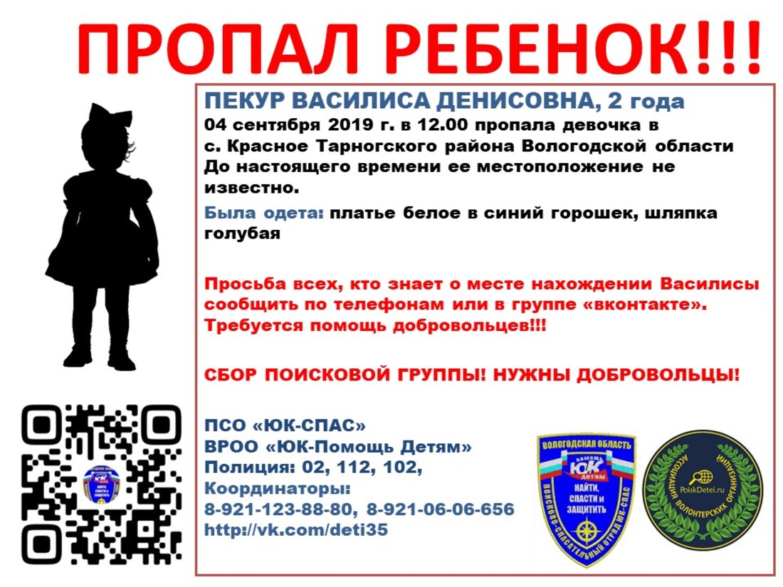 Двухлетняя девочка пропала в Тарногском районе