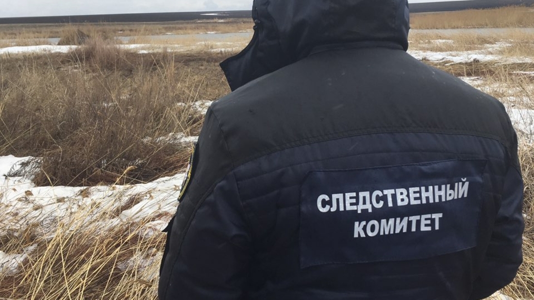 Страшная находка: в Шекснинском районе обнаружены останки пропавшей женщины