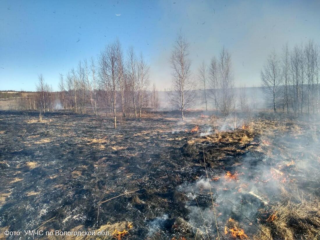 Лесные пожары