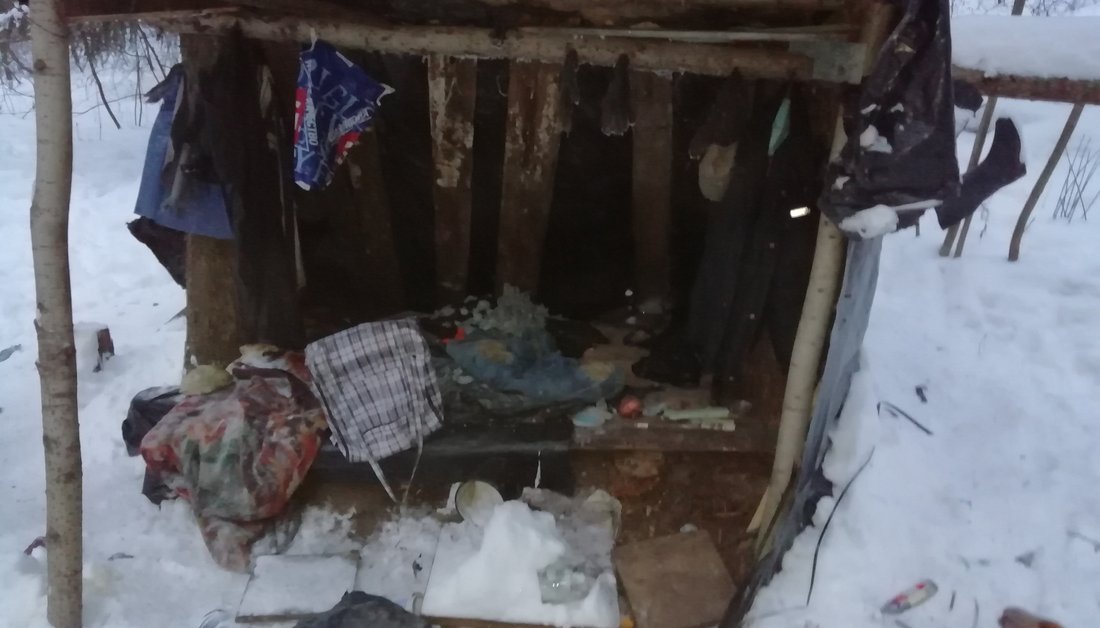 В лесу под Великим Устюгом найдены обглоданные человеческие останки