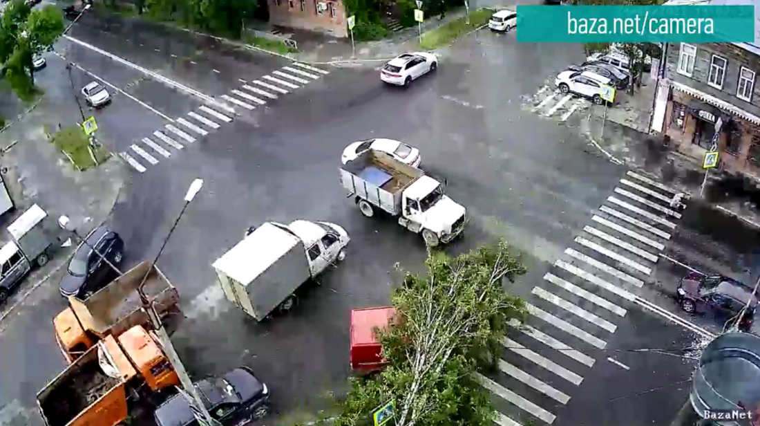 Дерево свалилось на проезжую часть и едущую машину в центре Вологды