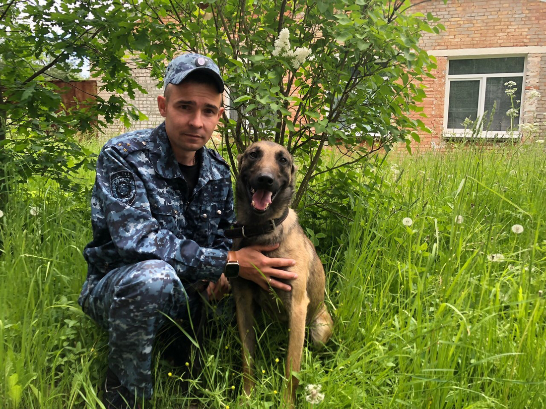 Служебная собака помогла найти потерявшегося мальчика в Череповце