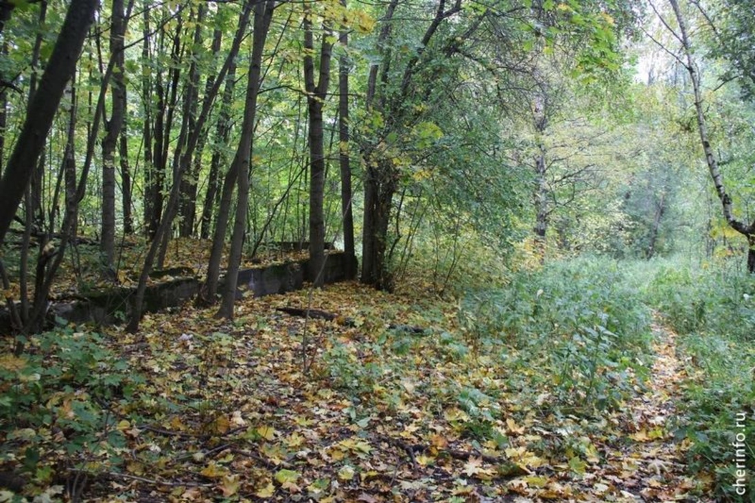 В Макаринской роще Череповца может появиться дайвинг-центр