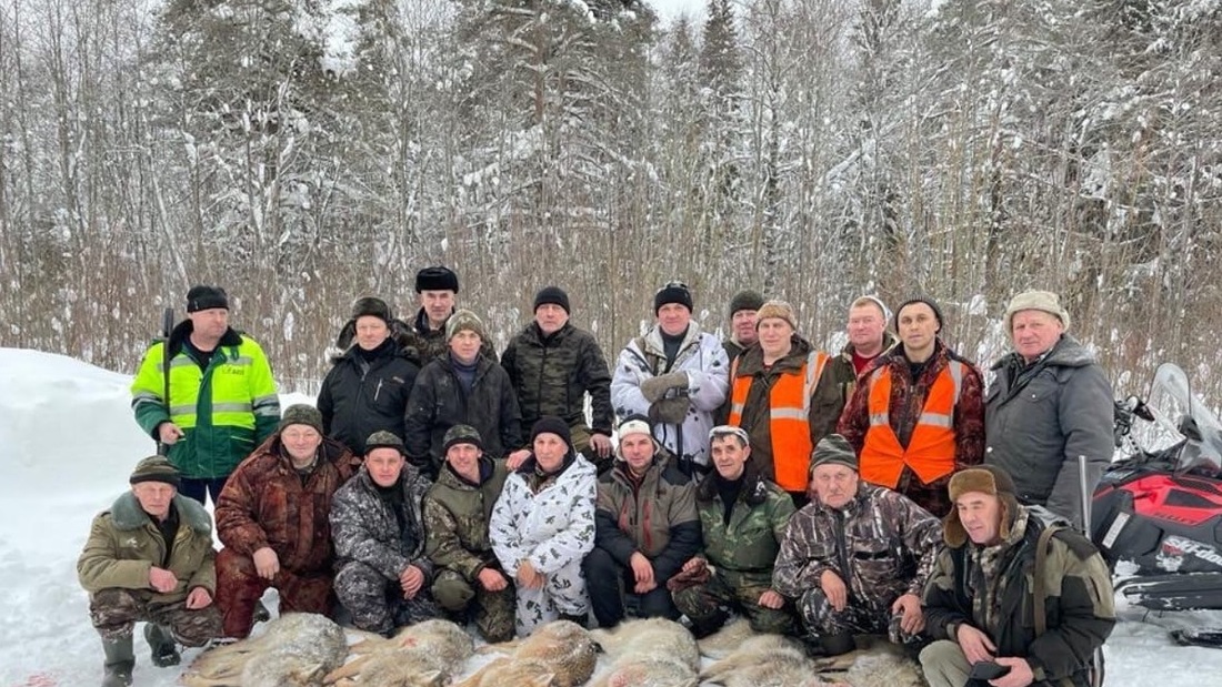 Охотникам из Вожегодского района удалось усмирить волков