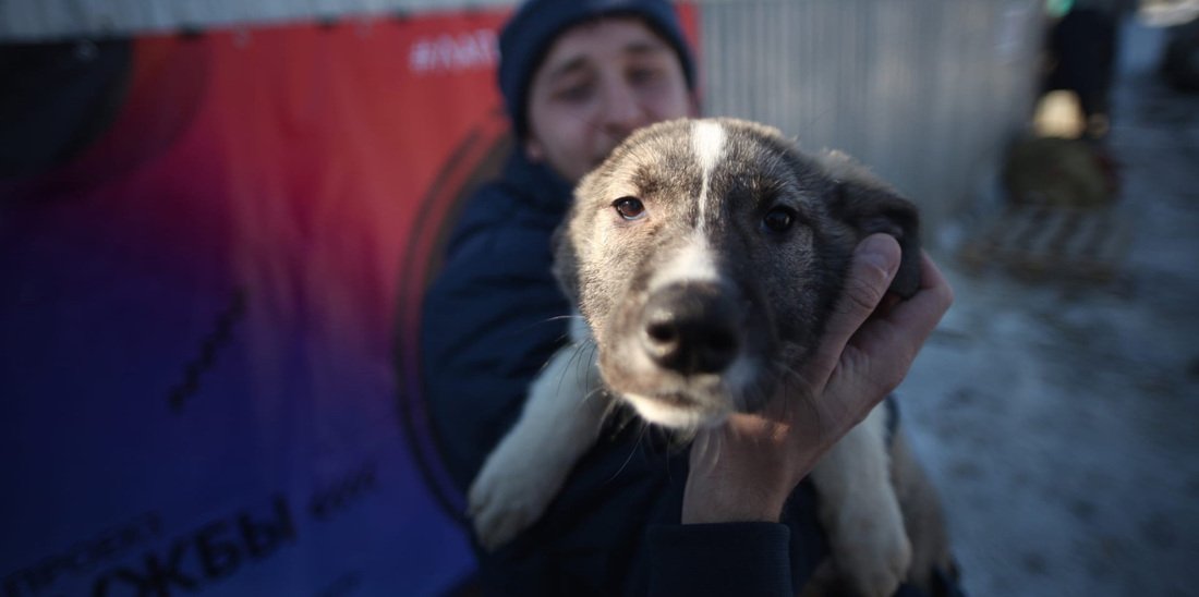 Футболисты вологодского «Динамо» приняли участие в благотворительной акции