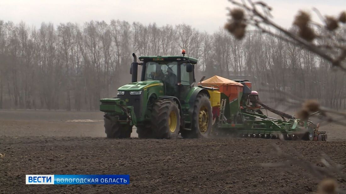 Гранты на развитие семейных ферм получили сразу два вологодских хозяйства