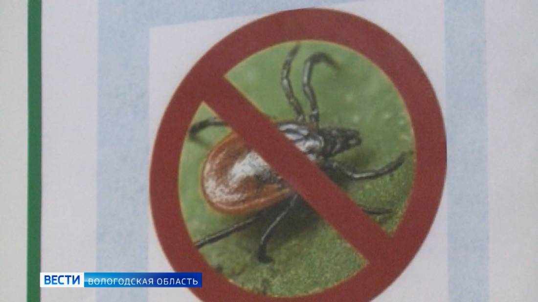 Более 2000 вологжан стали жертвами укусов клещей в этом сезоне