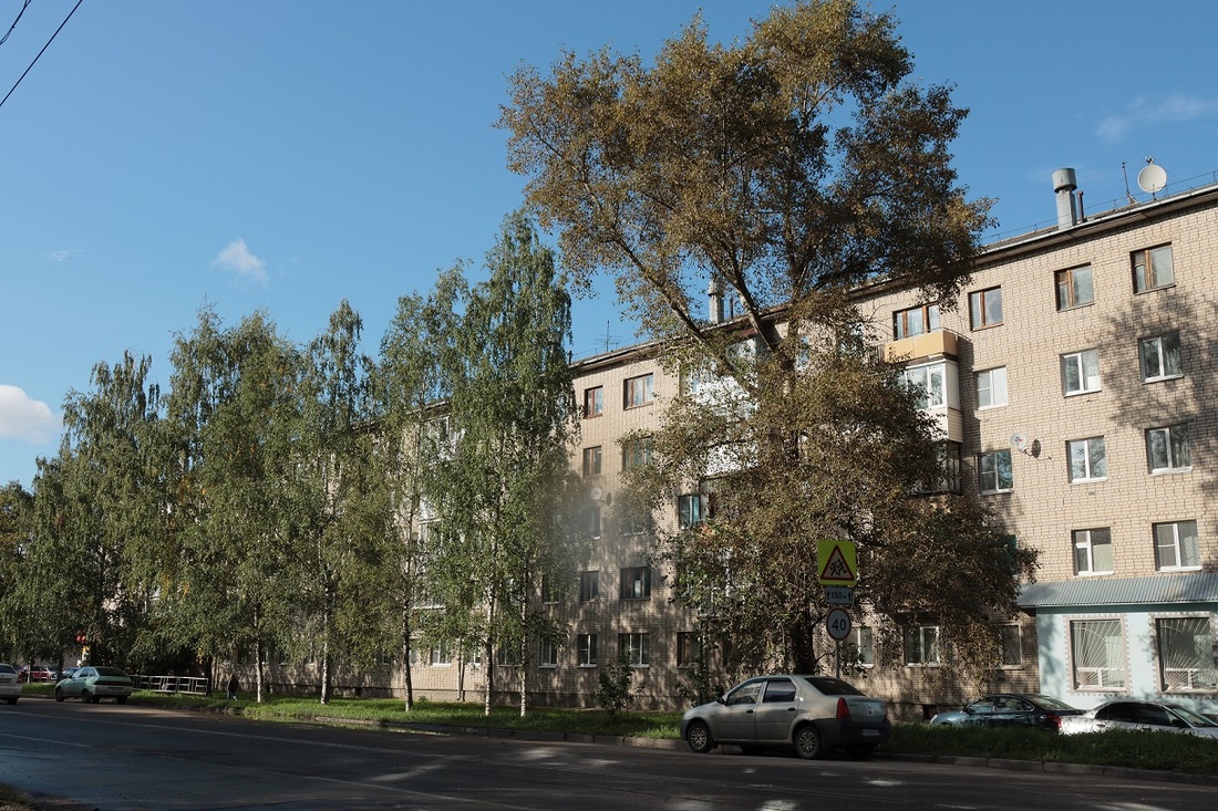 Грозы и дожди: синоптики рассказали о погоде в Вологодской области