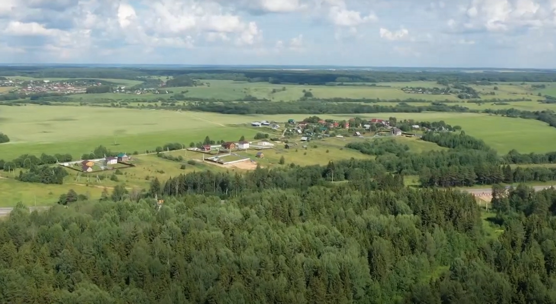 Низкий класс пожарной опасности установлен в лесах Вологодской области