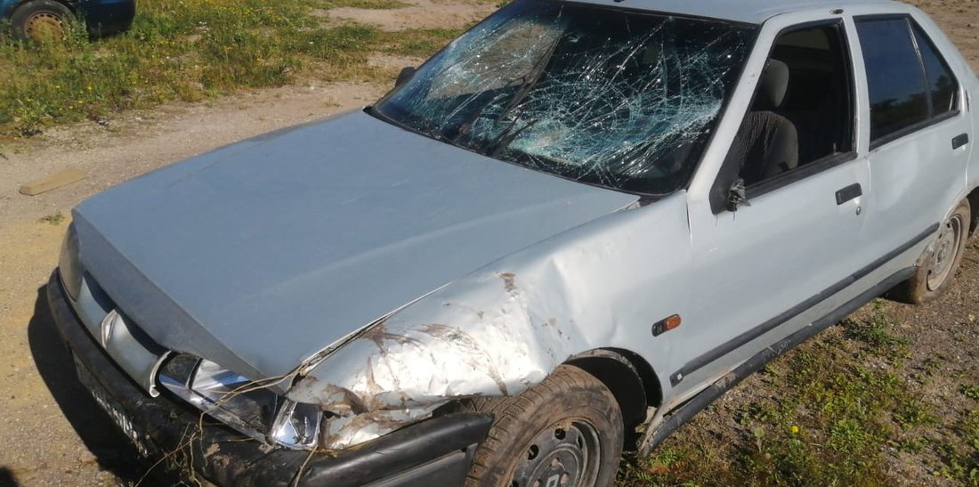 Полицейская погоня со стрельбой произошла в Шекснинском районе