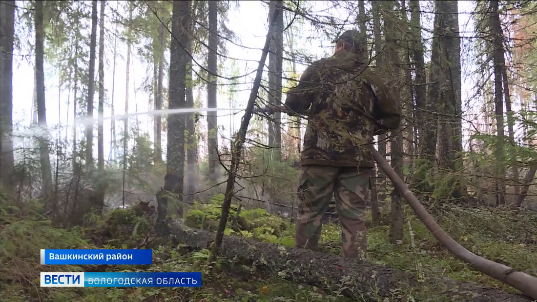 Высокий класс пожарной опасности установлен в пяти районах Вологодской области
