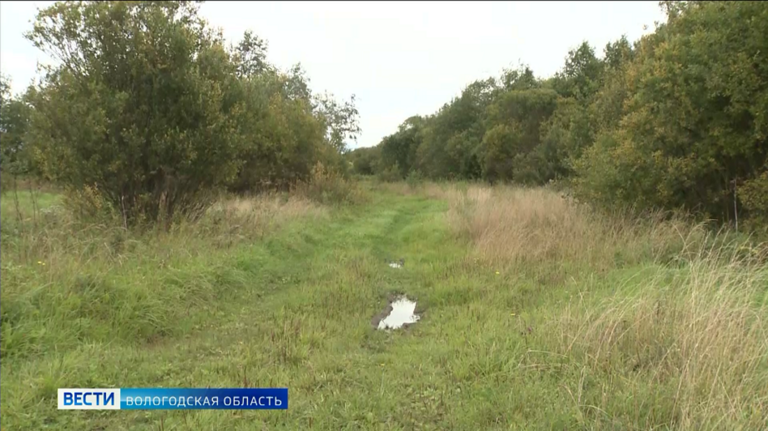 Трое мужчин бесследно исчезли в Вологодской области