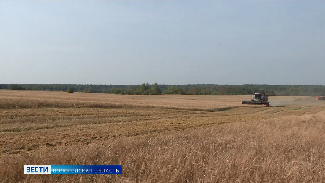 Налоговые льготы продлили вологодским предприятиям сельской торговли