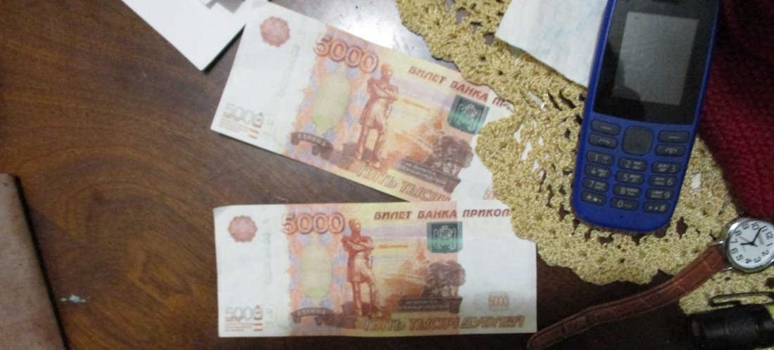 Лже-врач подло обманула и обокрала пенсионерку из Череповецкого района