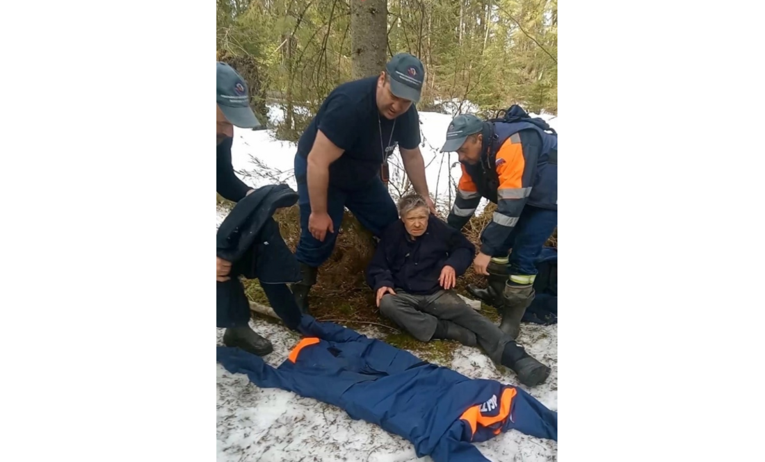 Пожилой вологжанин, два дня назад пропавший в лесу, найден живым