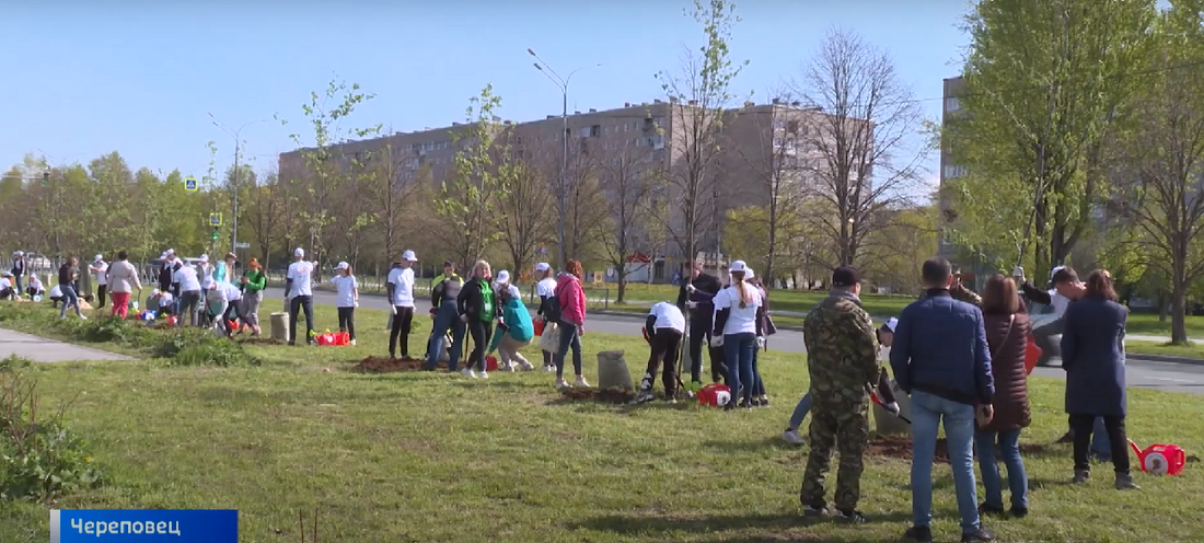 Мероприятия Международной акции «Сад Памяти» вновь пройдут в Вологодской области