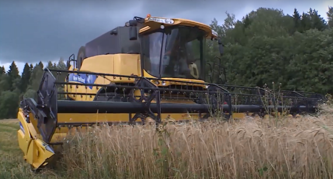 Грант в 10 миллионов рублей могут получить вологодские сельхозпроизводители