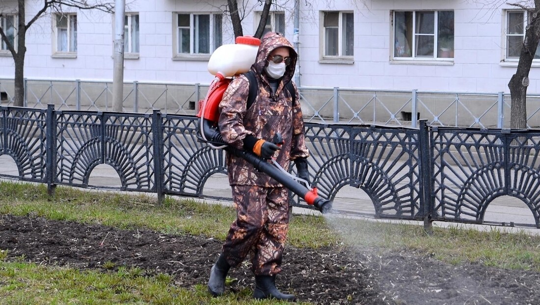 Противоклещевая обработка зелёных зон началась в Вологде