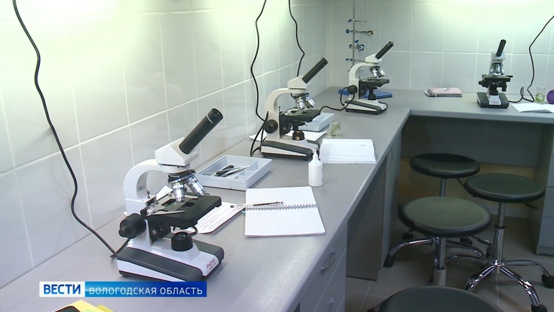 А был ли червяк: в столовой колледжа сервиса провели проверку