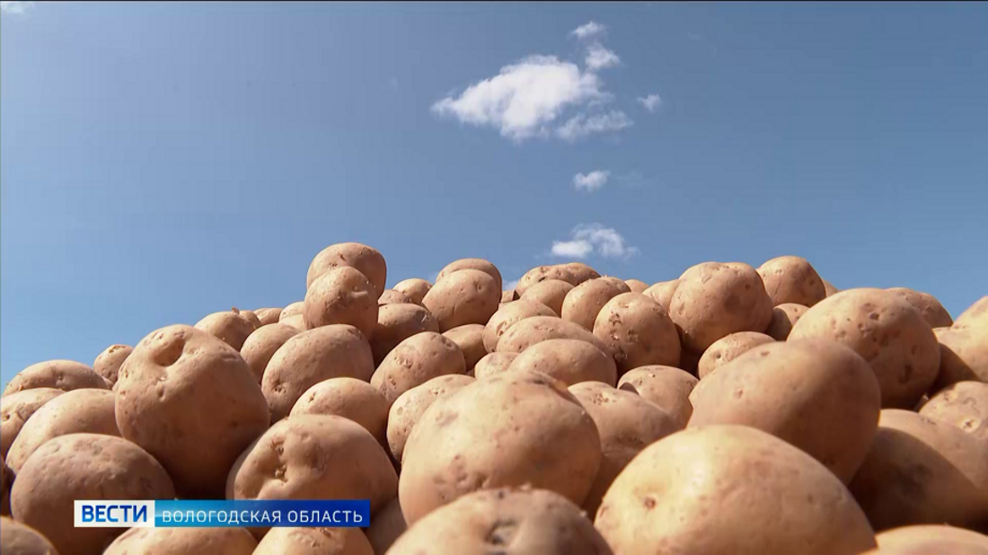 Вологодская область вошла в число лидеров российского агротуризма