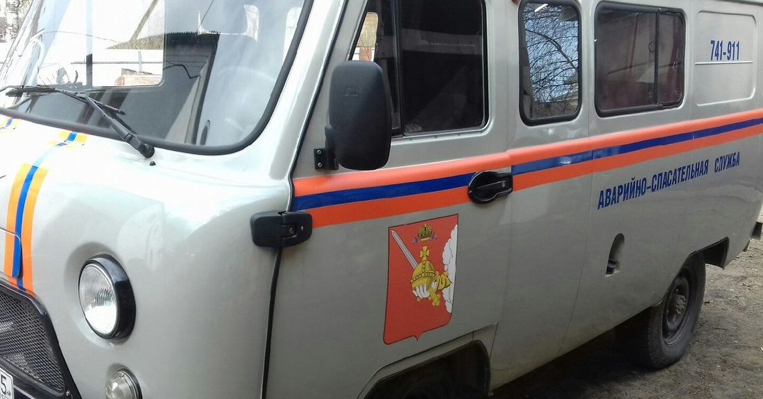 Дикая куница застряла в заборе в Вологде