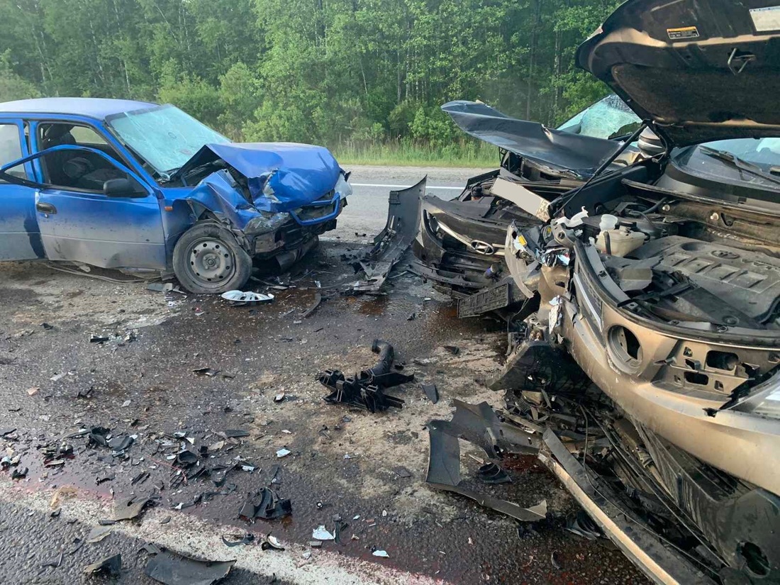 Двое малолетних детей и несколько взрослых оказались в больнице после встречи с лосём на трассе под Соколом