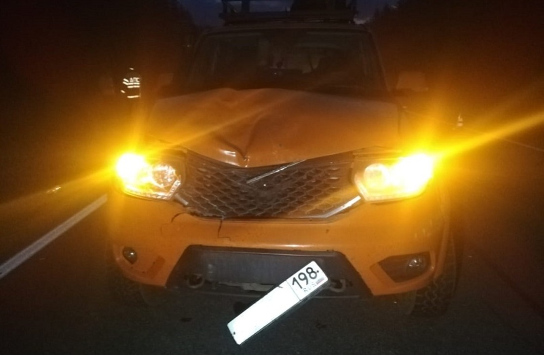 Водитель из Санкт-Петербурга насмерть сбил молодого мужчину под Чагодой