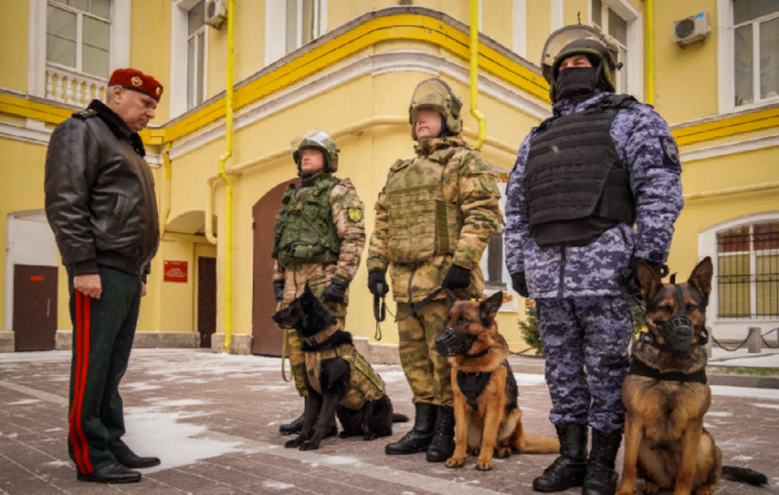 Несколько подвигов в СВО совершили вологодские Росгвардейцы-кинологи благодаря четвероногим помощникам
