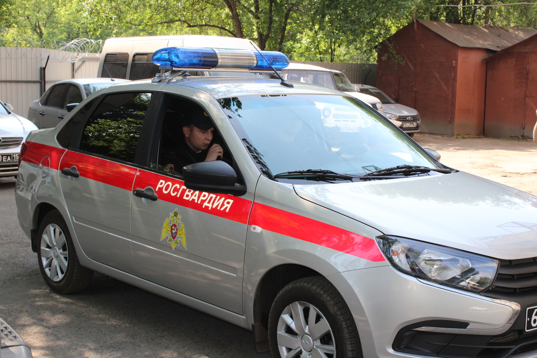 Бойцовский клуб: три череповчанки устроили «махач» на танцполе