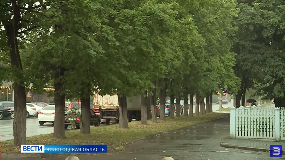 В Вологодскую область возвращаются дожди и холод