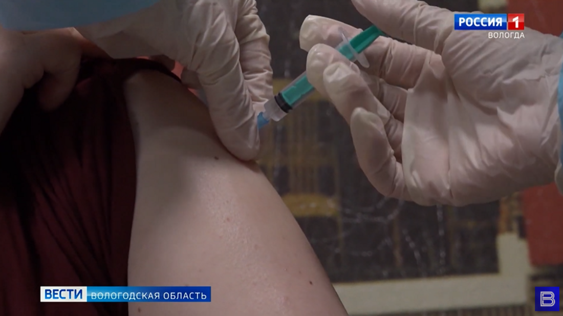 Крысы покусали школьников во время урока в Вологде