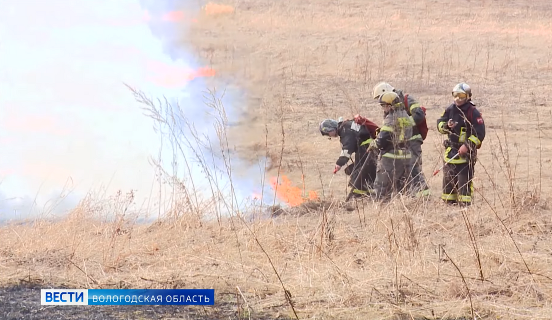 Сразу три крупных пала произошло в Вологодском районе