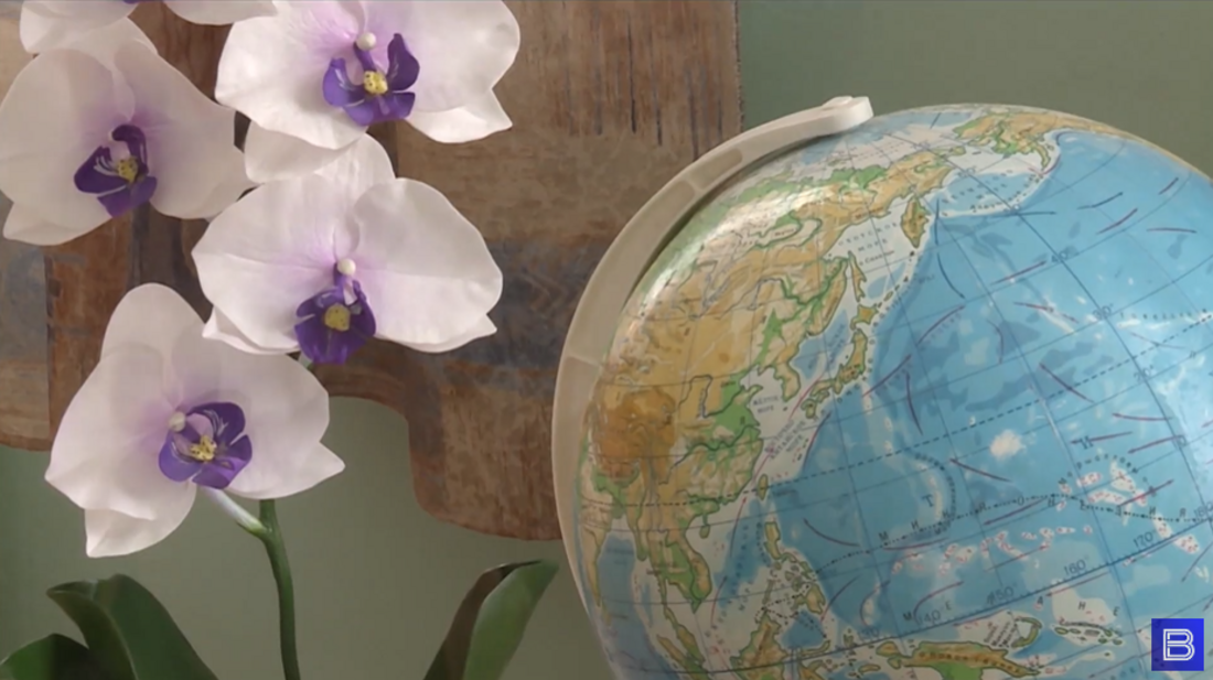 В Вологодской области выбрали победителей программы «Земский учитель»