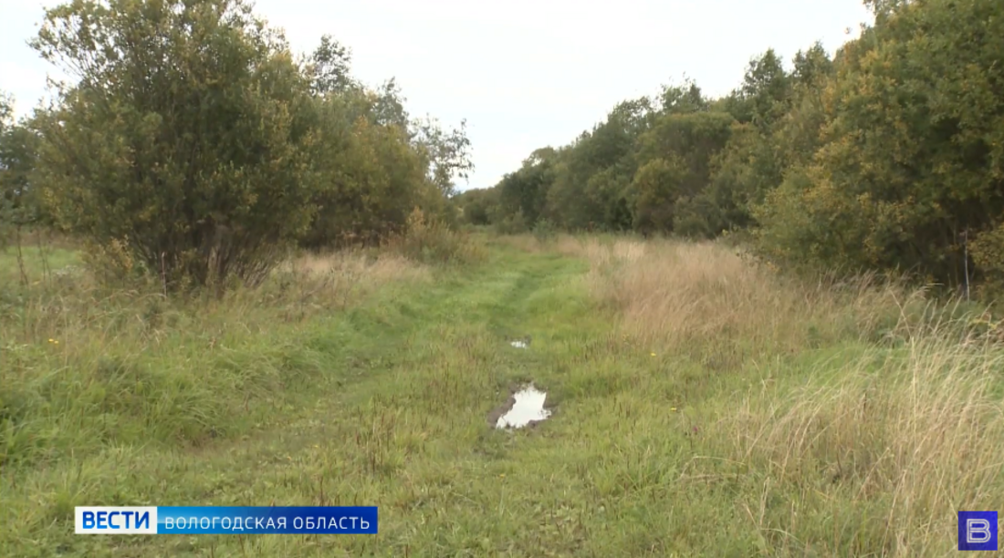 Тотемские спасатели вывели из леса потерявшегося грибника