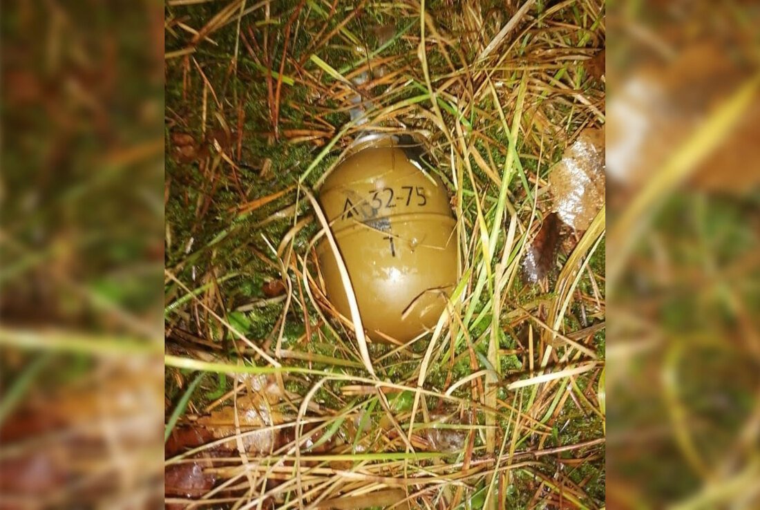 Гранату нашли в лесу под Кирилловом