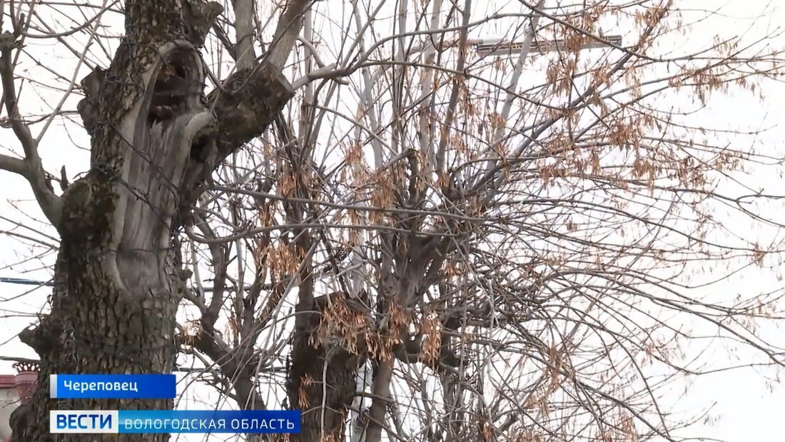 В выходные в Вологодской области ожидается существенное похолодание