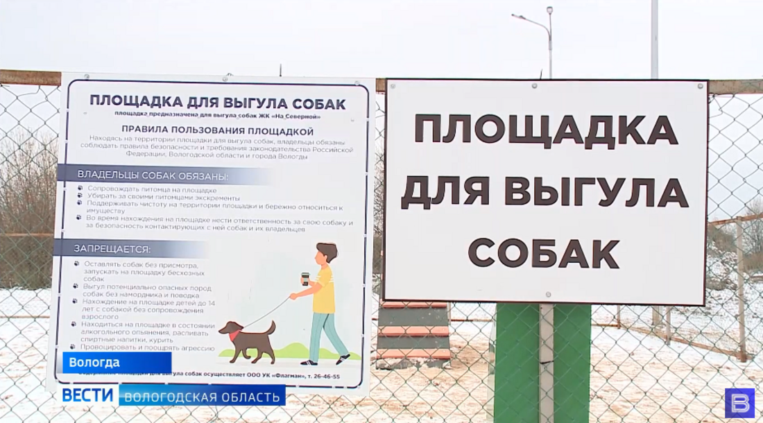 «Пять шагов для городов»: более полусотни социально-значимых проектов реализованы в Вологде