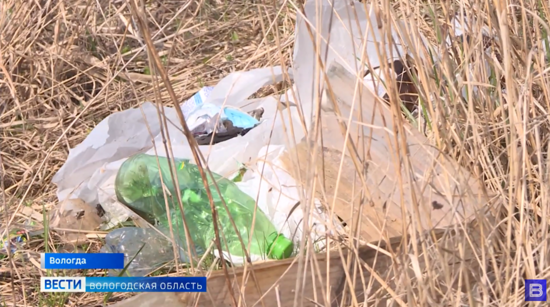  В Вологде планируют облагородить берега реки Содемы