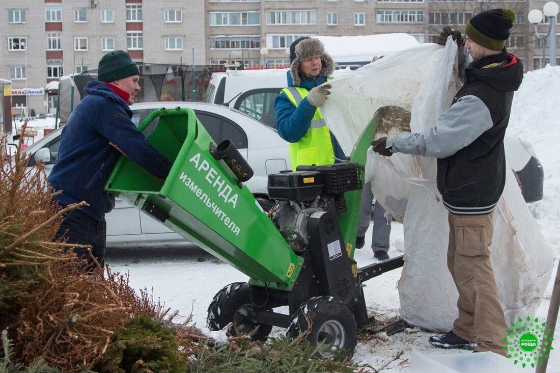 Вологжане смогут сдать новогодние ели на переработку