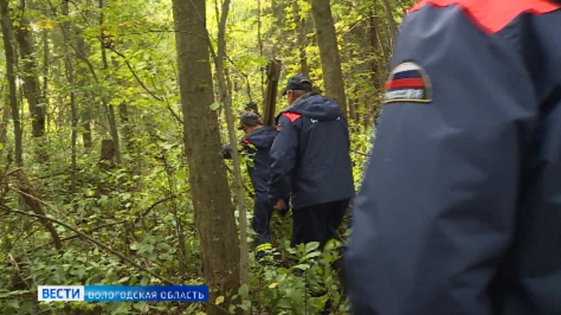 Пенсионерка заблудилась в лесу Кирилловского района