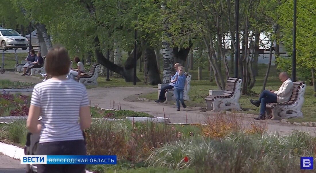 Комиссия отрицательно отозвалась о первом покосе травы в Вологде