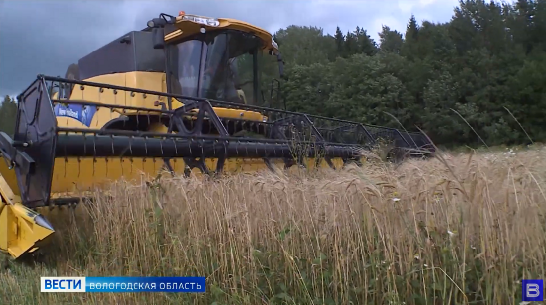 Почвенно-атмосферная засуха зафиксирована в Великоустюгском районе